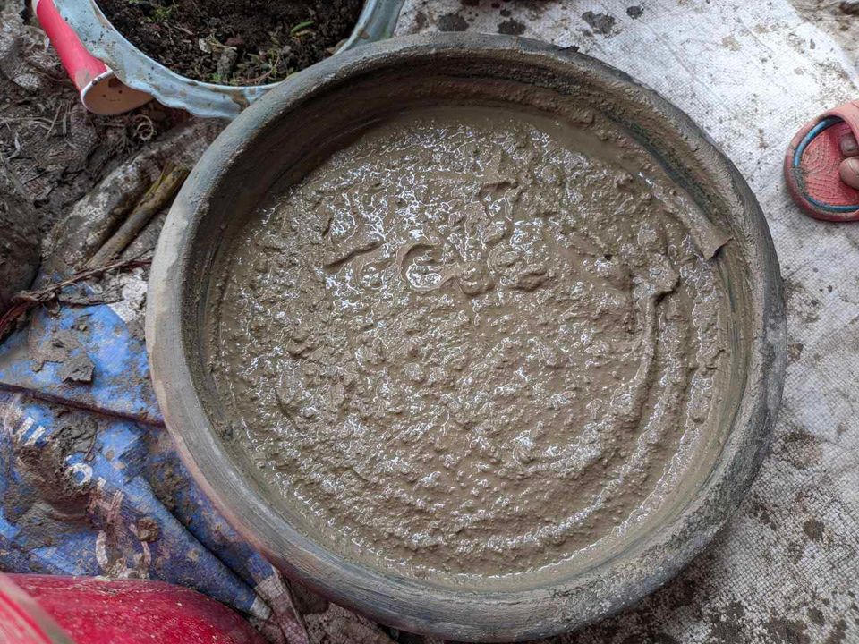 Pot filled with saturated soil mix, ready for planting a lotus tuber.