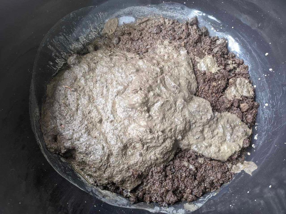 Close-up view of the soil mix at the bottom of a lotus pot, showing a mixture of Cow dung & soil