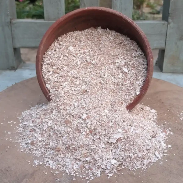 Egg shell powder in a clay pot, natural calcium fertilizer for plants in Bangladesh