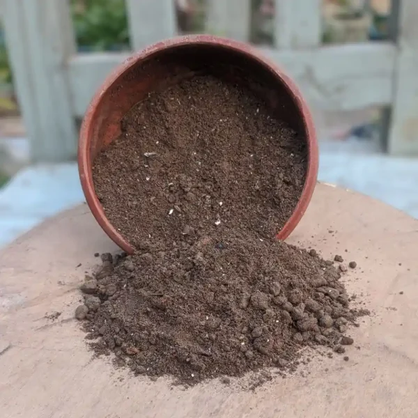 Ready mix soil in a clay pot, perfect for gardening and potted plants in Bangladesh